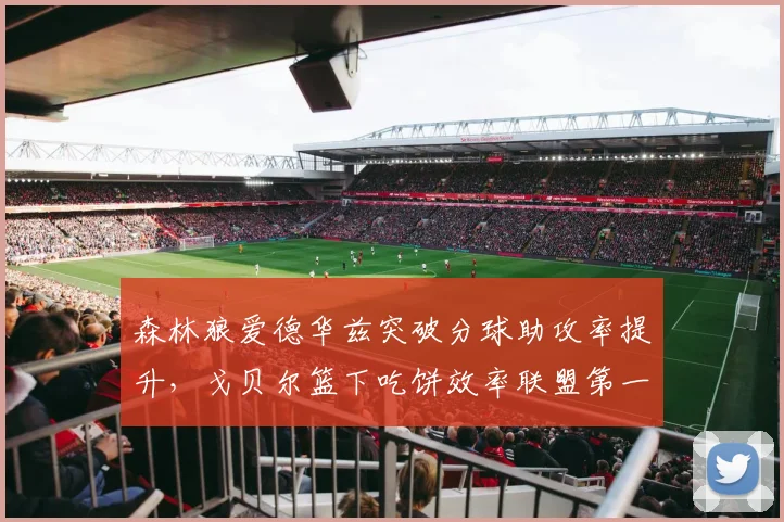 森林狼爱德华兹突破分球助攻率提升，戈贝尔篮下吃饼效率联盟第一